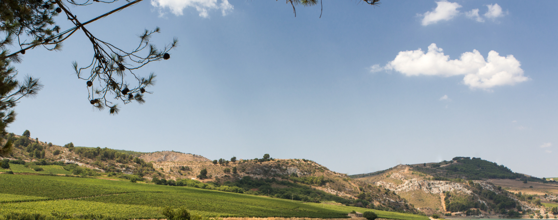 Planeta Cantina Ulmo